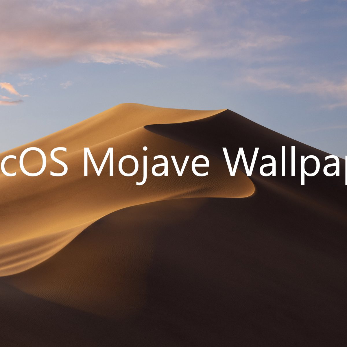 Mojave for windows download